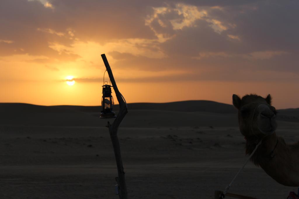 Fulayj al Masha'ikh Legend Desert Camp מראה חיצוני תמונה