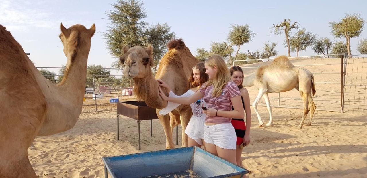 Fulayj al Masha'ikh Legend Desert Camp מראה חיצוני תמונה